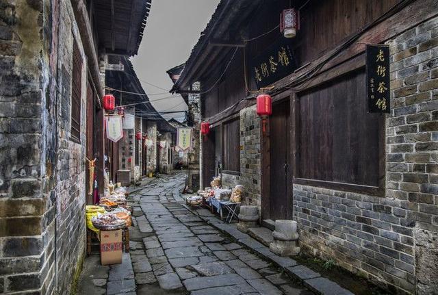 时尚红人莎莉